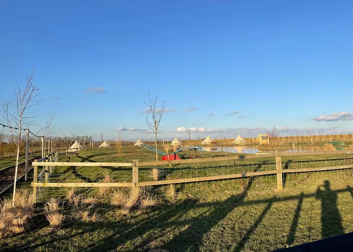 Witham Grange Glamping