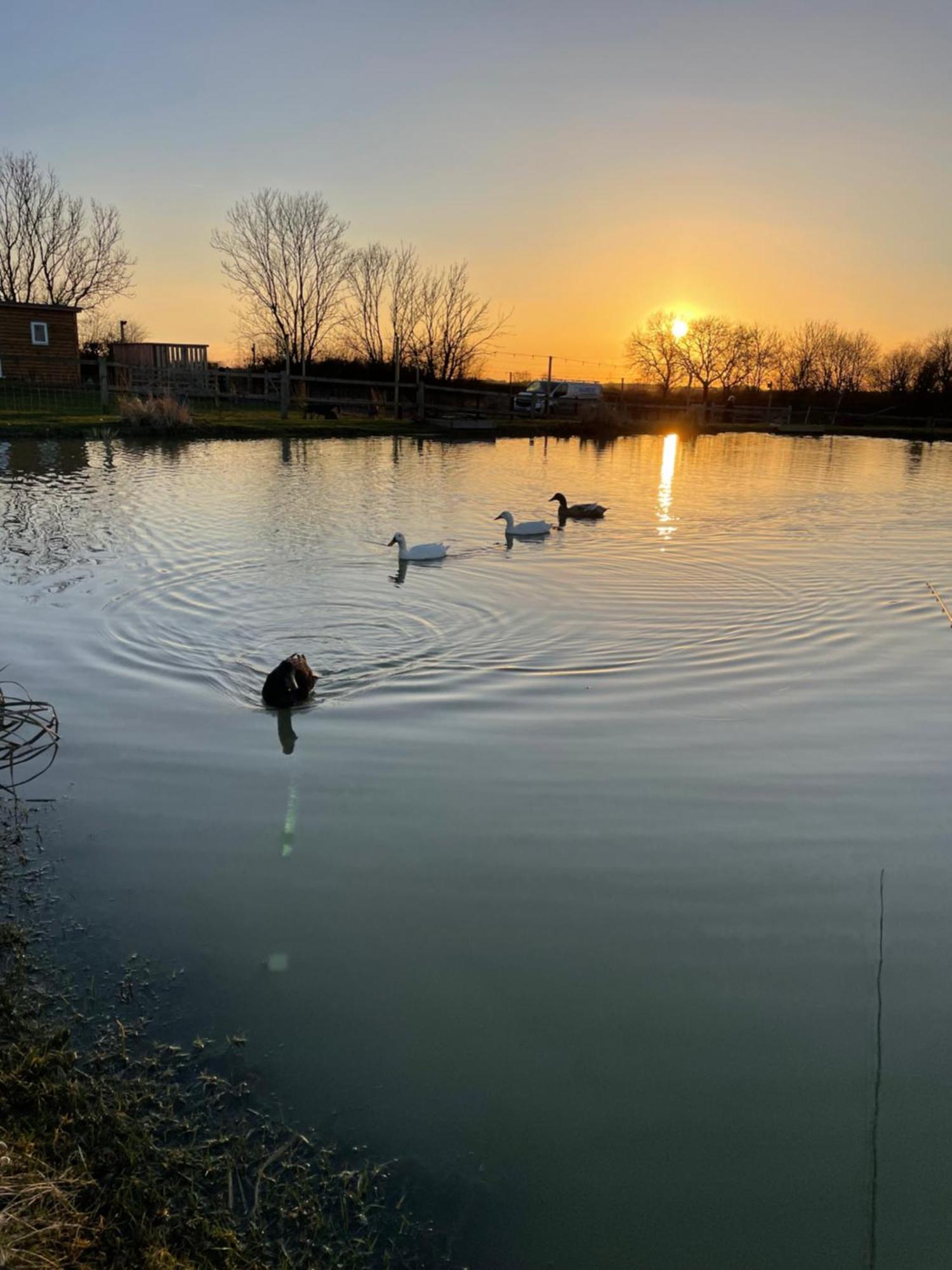 Campismo de Luxo Witham Grange Glamping LINCOLNSHIRE